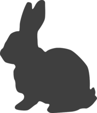 02004i7y-e55d-190x221.png