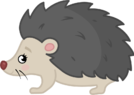 02004iqf-dfdd.png