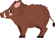 02004is6-654f-940x650.png