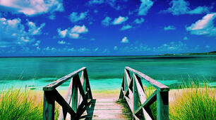 День Незалежності
