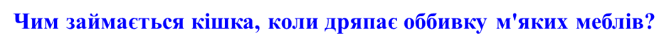 02004j28-5951-940x68.png