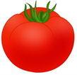 02004j3u-3675.png