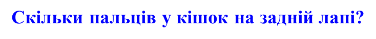02004j40-6a08.png