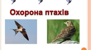 Інтегрований урок.Тема          Математика: Закріплення таблиці множення числа 3. Складання прикладів на ділення із прикладів на множення. Складання і розв’язування задач.  Природознавство: Охорона птахів