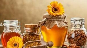 19 серпня - День пасічника. Що ми знаємо про бджіл?