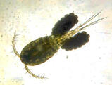02004j78-30ab-159x121.jpg