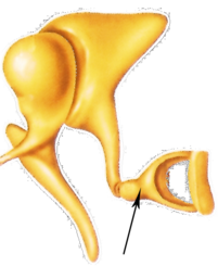 02004j7b-b3ad-201x257.png