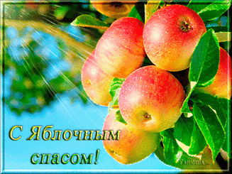 02004j97-af30-327x245.gif