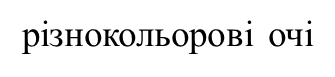 02004j9k-3074.png