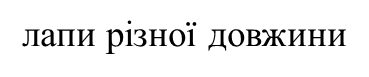 02004j9t-7733.png