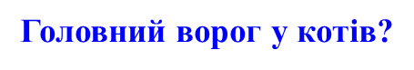 02004jb5-47ba.png