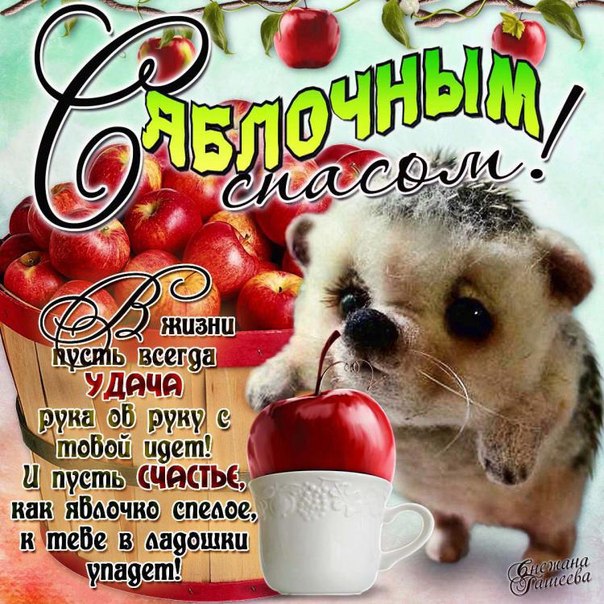 02004jeu-66ed.jpg