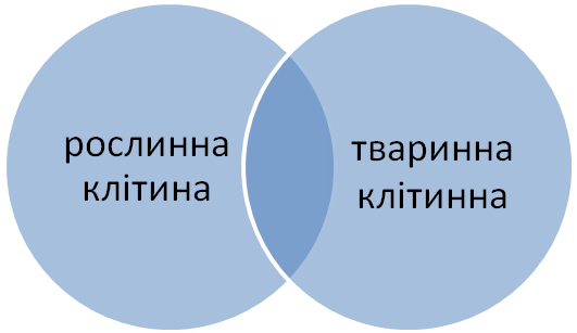 02004jkb-8b5a-531x307.png