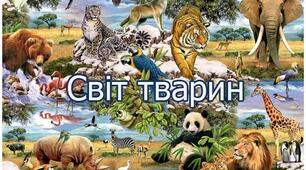 Дивовижний світ тварин 