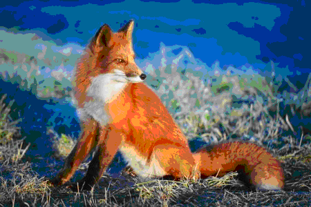 02004kcr-85d3-450x300.png