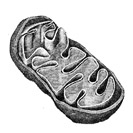 02004kf6-3cad.png
