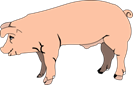 02004l1c-9fe4.png
