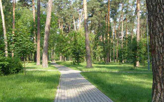 02004lir-d432-330x206.jpg