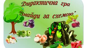   "Знайди за схемою" для дошкільнят