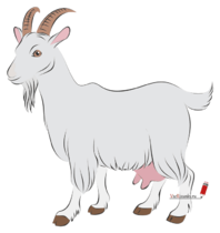 02004lq9-48aa-198x210.png