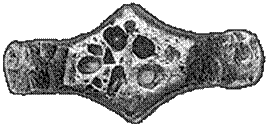 02004ml2-a2b1-267x127.png