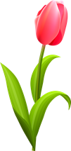 02004ms9-4ee2.png