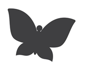 02004msp-8c9d.png
