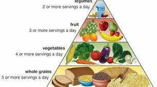 Урок на тему: “Vegetarianism. Healthy Way of Life” “Вегетаріанство. Здоровий спосіб життя” . 11 клас