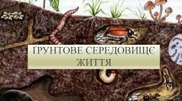 "Грунтове середовище існування" Урок для дістанціонного навчання