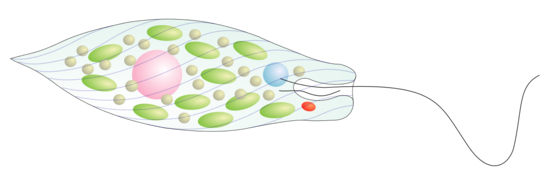 02004n6r-4281-548x177.png
