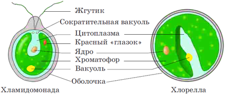 02004n72-5d2e-438x184.png