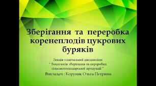 Презентація до лекції  "Зберігання  та  переробка коренеплодів  цукрових буряків"