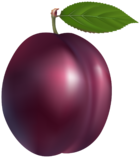 02004nml-059c-140x158.png