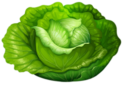 02004no5-a869-244x169.png