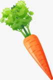 02004npk-7c1d-106x160.png