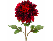 02004nu2-48cf-229x177.png