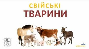 (Копія) Відгадай загадки про тварин. 