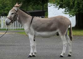 02004o7w-2fbe.jpg
