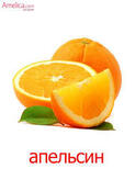 02004ob5-b8b4-123x174.jpg