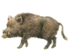 02004ofz-ca0c-98x71.png