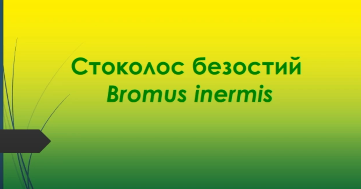 Відеоролик 