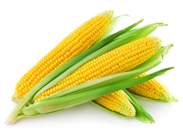 02004po9-5749.png