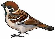 02004ppx-ca8c-194x139.jpg