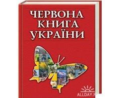 02004q95-0021.jpg