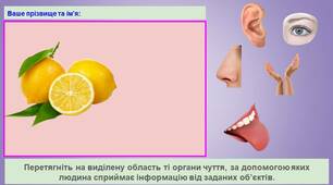 Презентація - інтерактивна вправа на тему: "Сприйняття інформації"