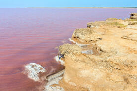 02004rsy-2479-276x184.jpg