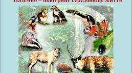 Наземно - повітряне середовище життя