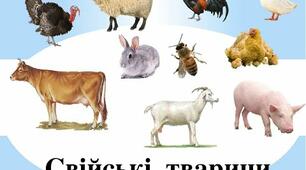 Презентація " Свійські тварини"