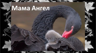 Презентация - гимн. "Это вовсе не важно, малыш... Мамой будешь ты Ангела звать"