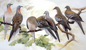 02004to1-cf0c-340x198.jpg